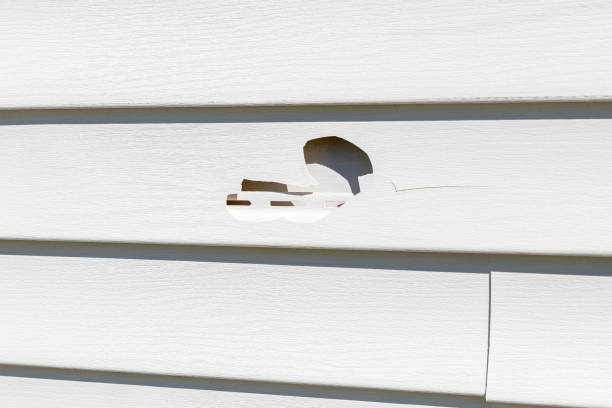  , VA Siding Installation Pros